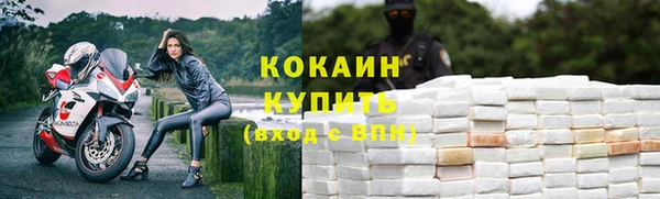 винт Лиски