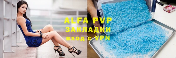 шишки Архангельск