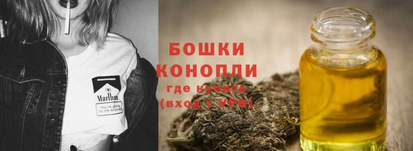 крисы Лагань