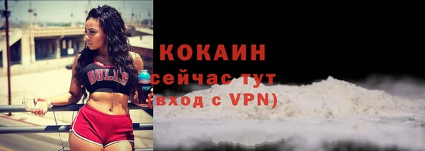 крисы Лагань