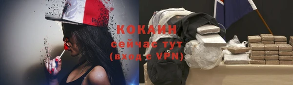винт Лиски