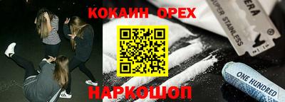 мдпв Кингисепп