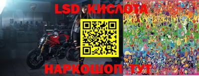 мдпв Кингисепп