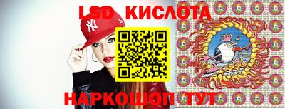 мдпв Кингисепп