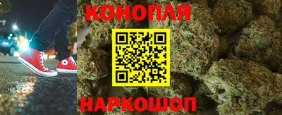 мдпв Кингисепп
