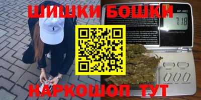 мдпв Кингисепп