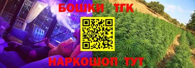 мдпв Кингисепп