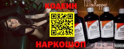 мдпв Кингисепп