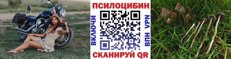 Галлюциногенные грибы ЛСД Дюртюли